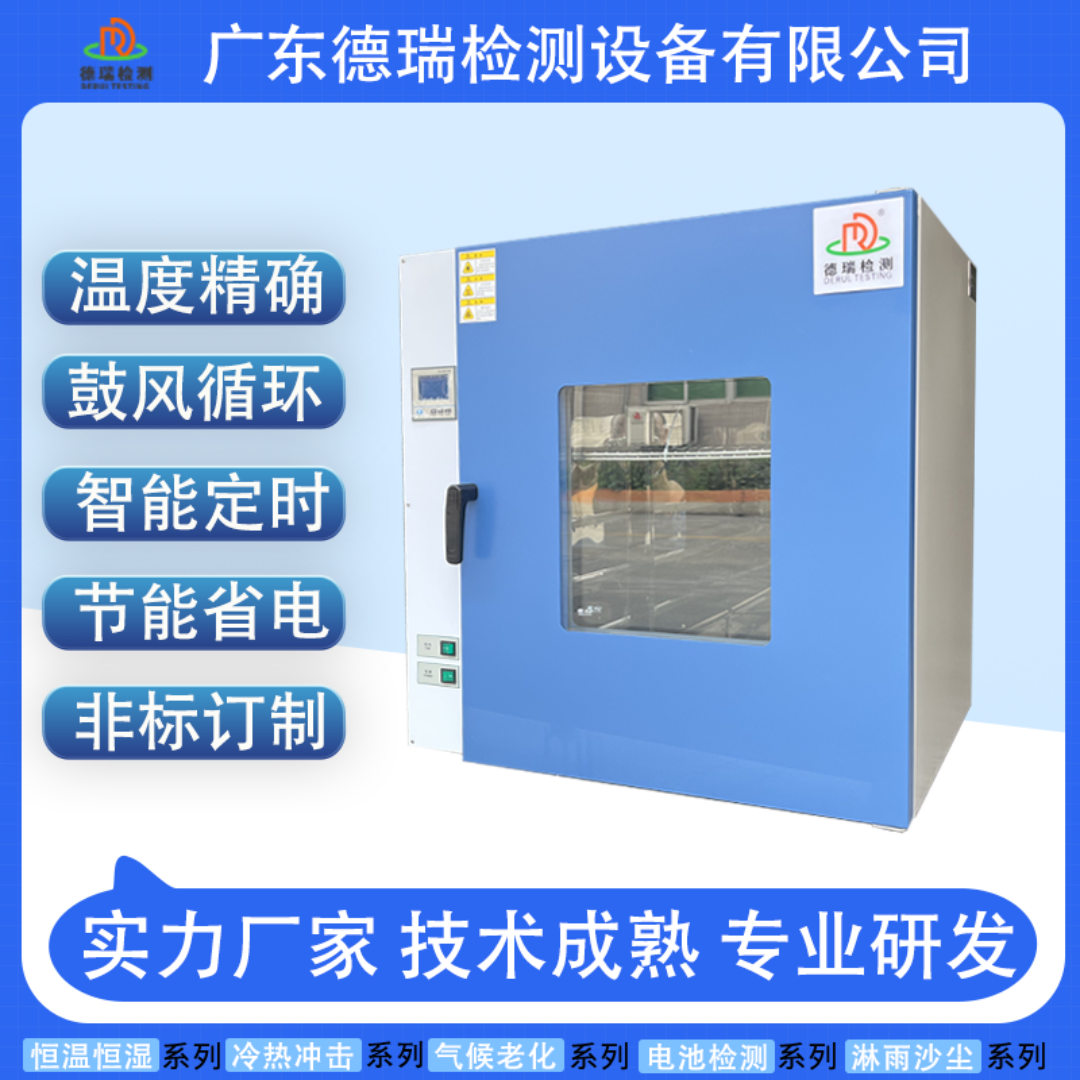 电热恒温干燥箱DR-H205A