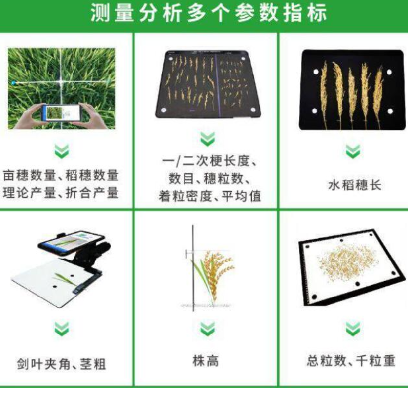 水稻表型检测仪