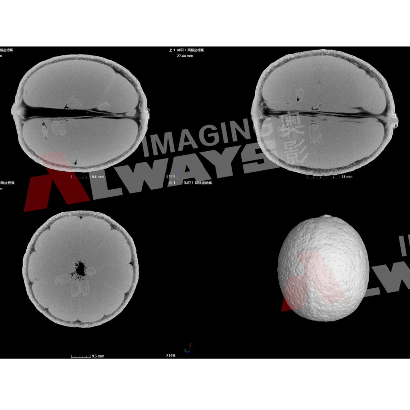 X射线桌面型 Micro-CT 奥影 AX-1000CT工业CT系统