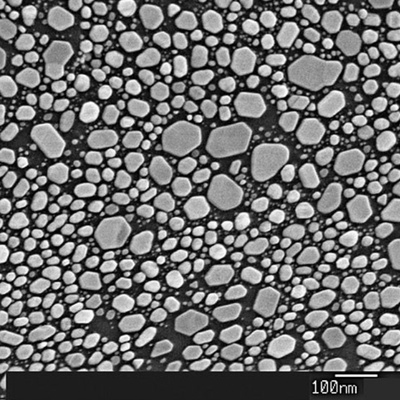 Agar AGS168 金颗粒标样5-150nm，分辨率测定标样