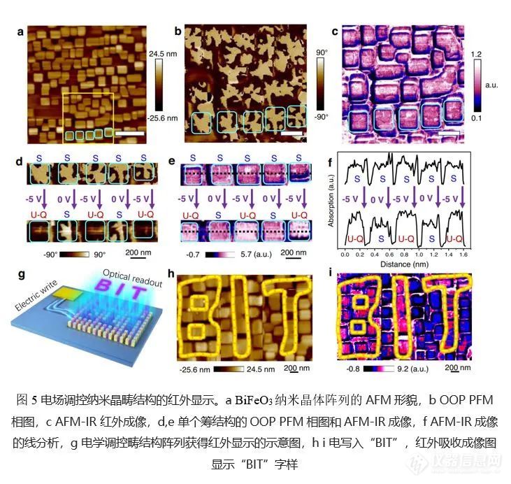 Nature Communications：AFM-IR研究铁电纳米晶极化所罗门环结构