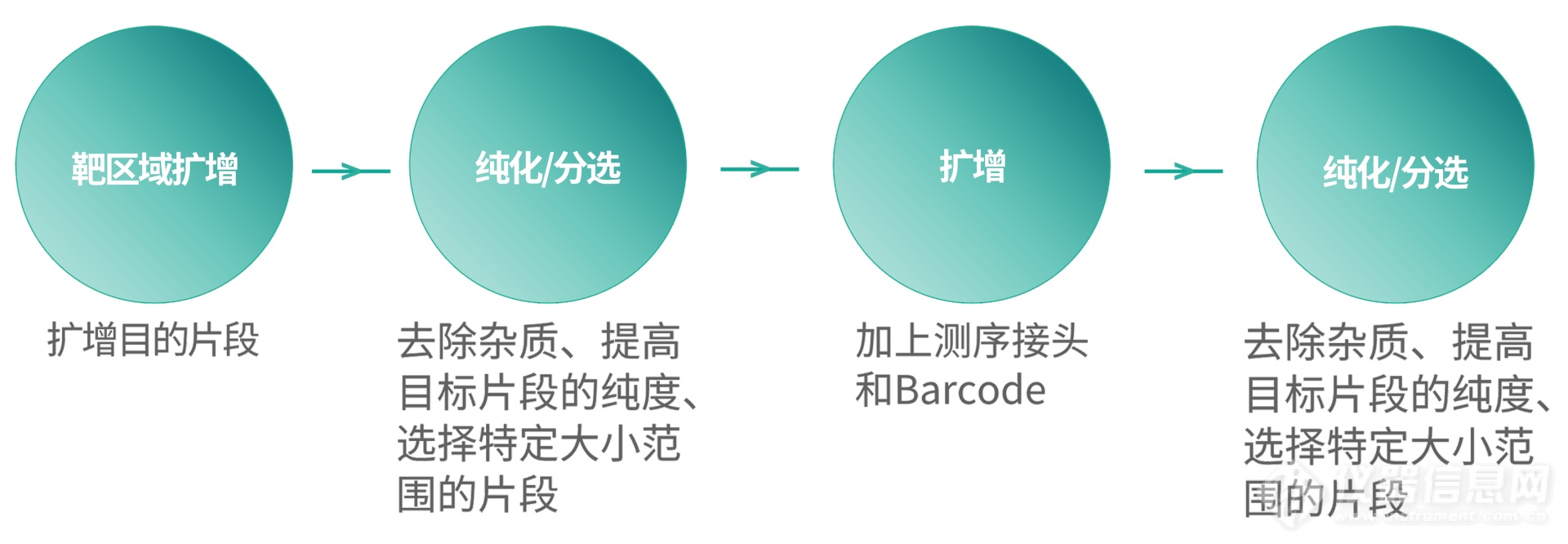 多重PCR建库技术在植物研究中的应用