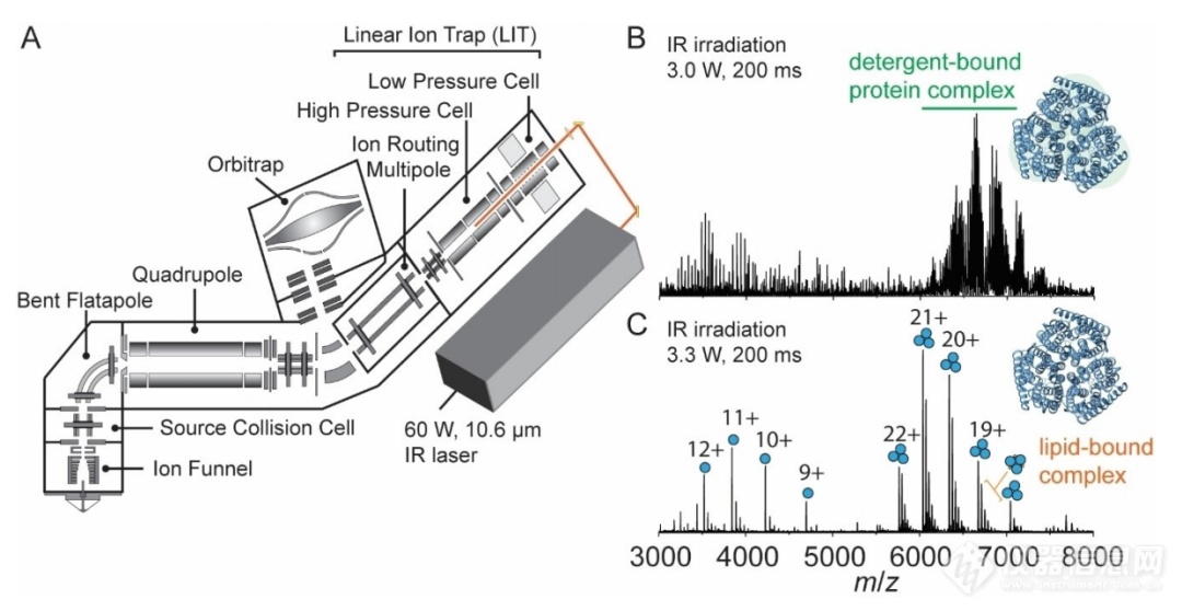 红外多光子解离用于Top-Down表征膜蛋白复合物和G蛋白偶联受体