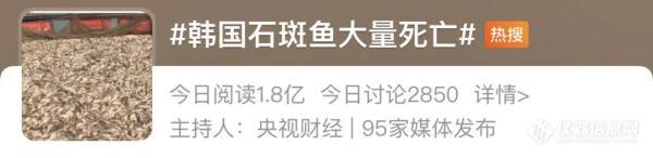 检测出放射性物质！韩国石斑鱼出现大量死亡！日本已排放超3800吨核污染水！