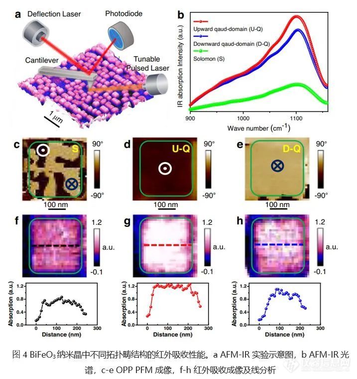 Nature Communications：AFM-IR研究铁电纳米晶极化所罗门环结构