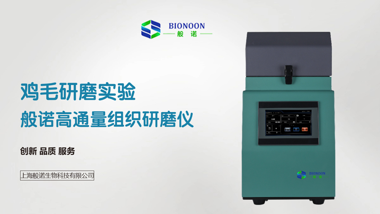 般诺高通量冷冻组织研磨仪Bionoon-48LD