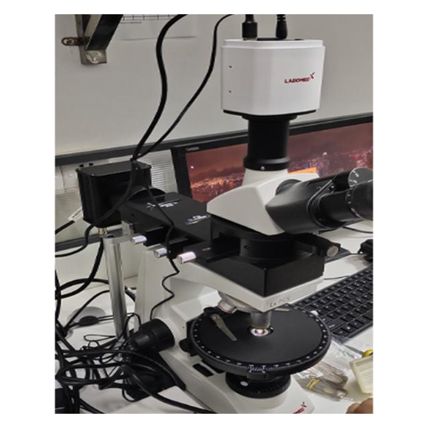 莱博迈 专业偏光显微镜（LX POL）