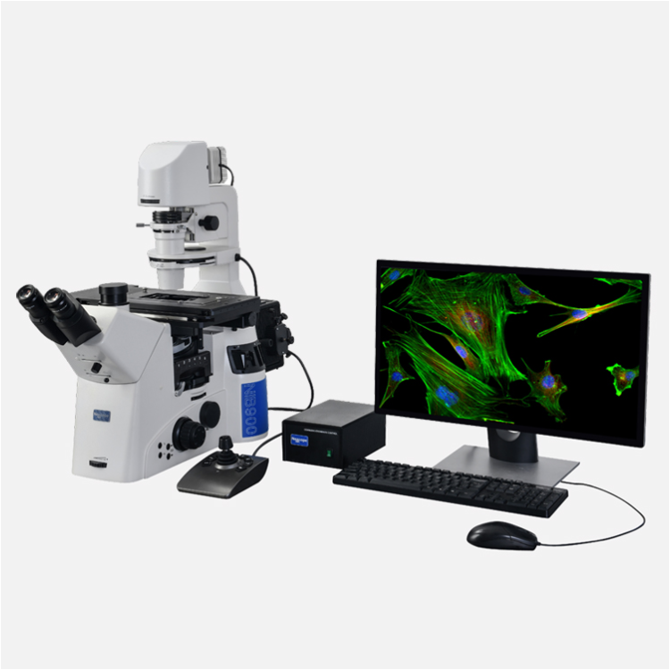 NIB950-FL电动荧光显微镜工作站