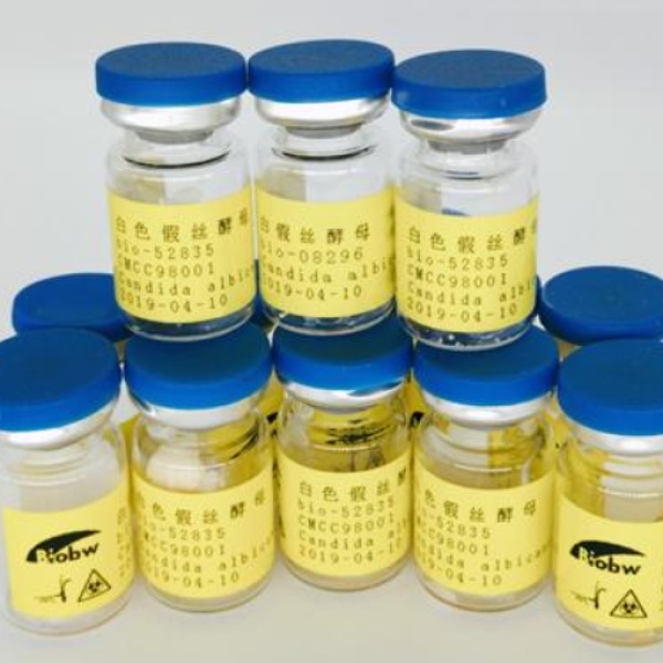 Bio-51940 克鲁斯假丝酵母