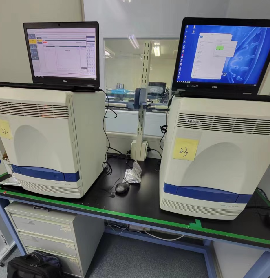 7500 real-time PCR system
