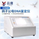 鸽子性别鉴别仪 鸟类性别（DNA）检测仪 