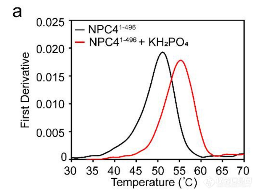 nanoDSF技术助力蛋白结晶的研究