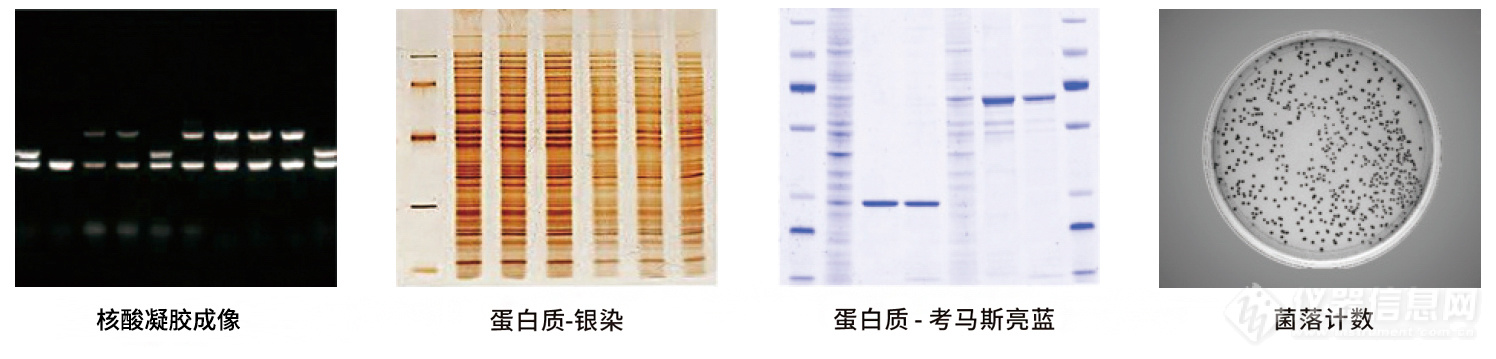 博鹭腾GelView 5000Plus智能凝胶成像系统