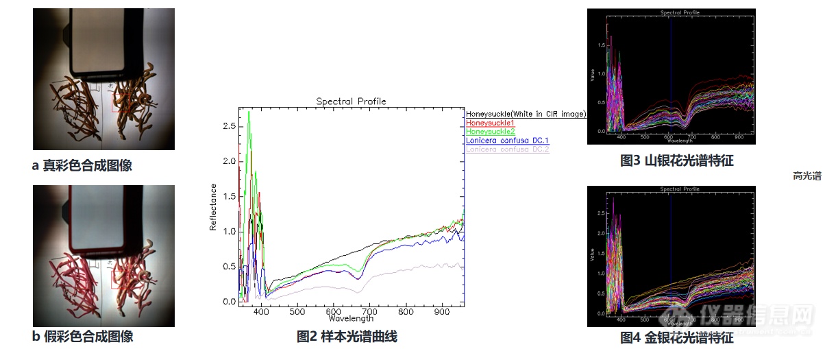 金银花真假难辨？杭州高谱成像高光谱技术轻松鉴别