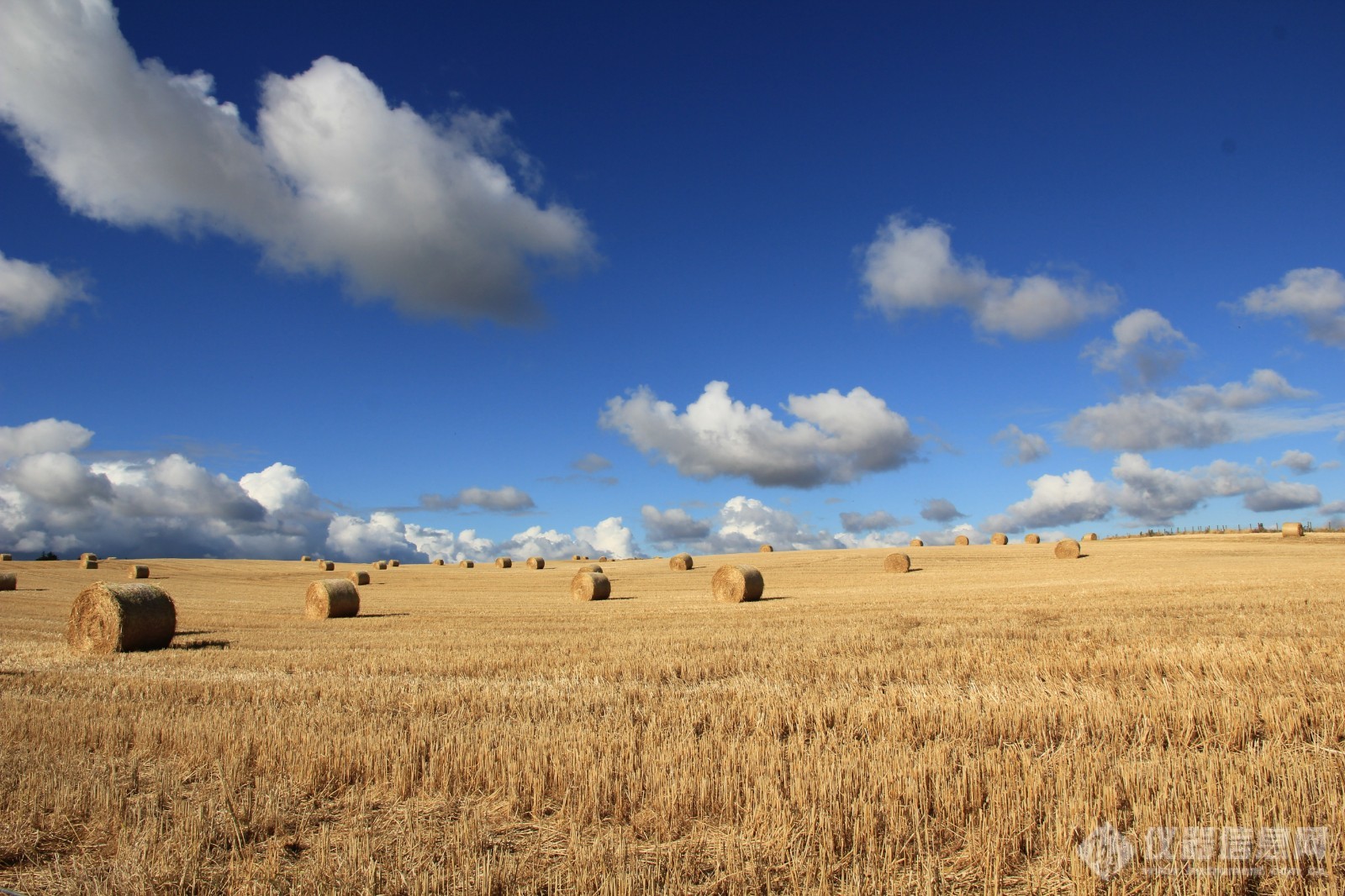 clouds-crop-farm-142882.jpg