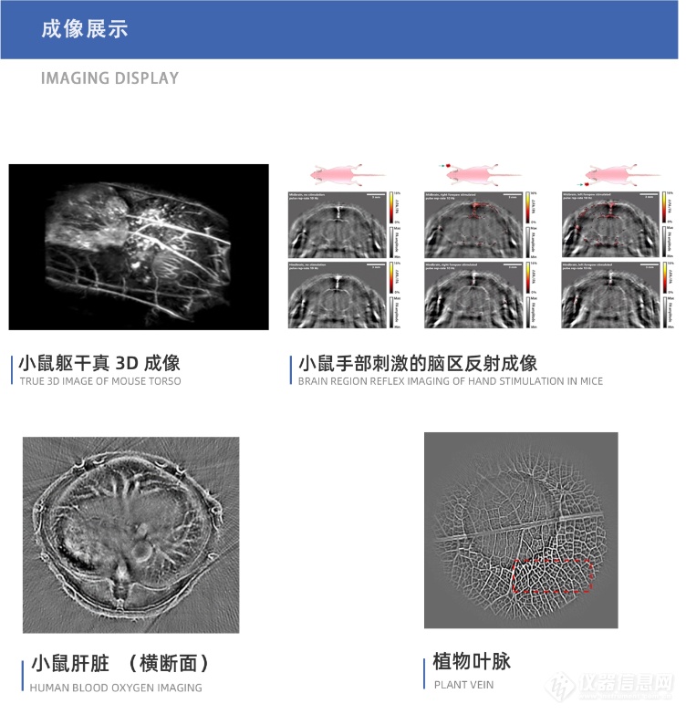 3i动物活体成像驿站|北京清湃科技完成数千万元天使轮融资，加速国产光声成像临床应用