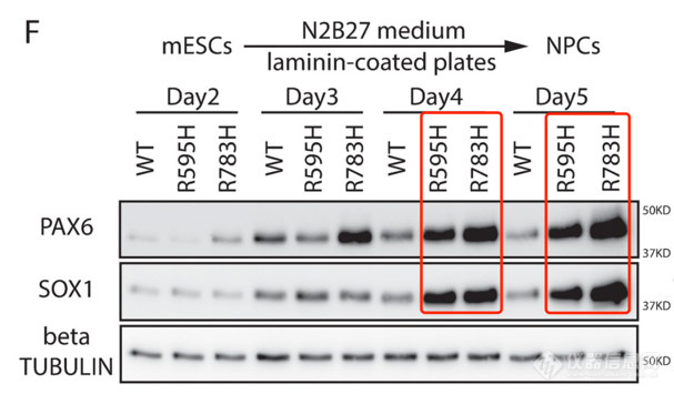 Blot231019-3.jpg