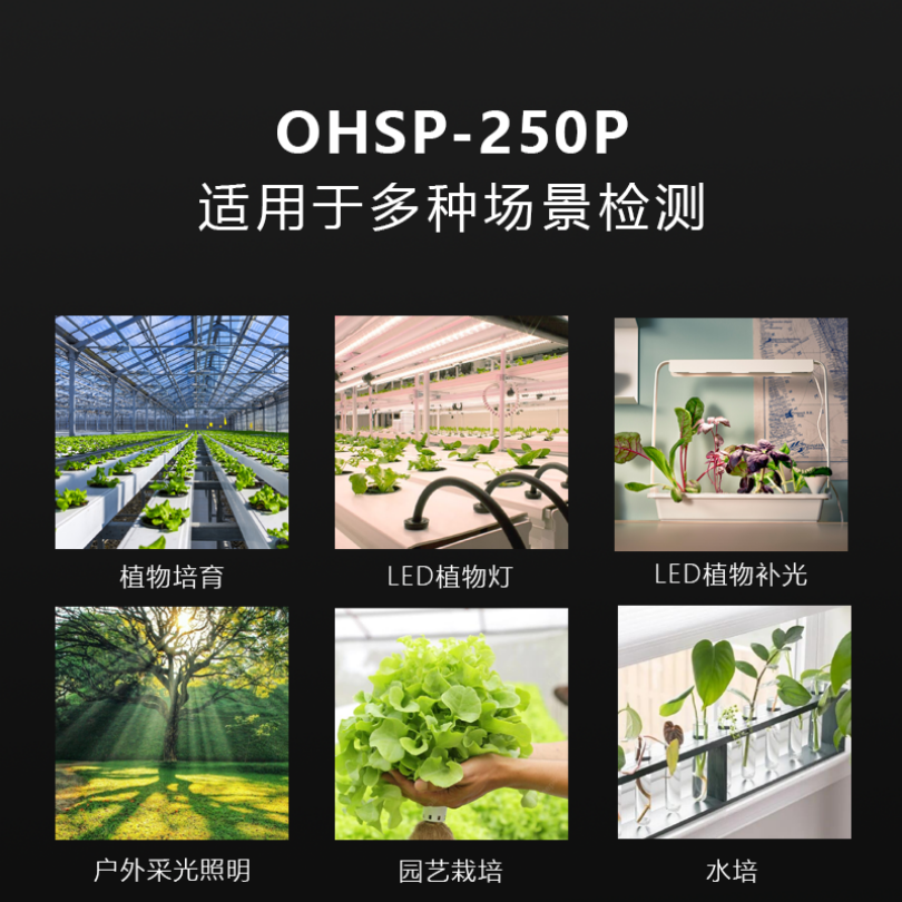 微型光纤光谱仪OHSP250P 虹谱光色