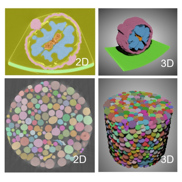 Dragonfly 3D World三维图像可视化分析软件