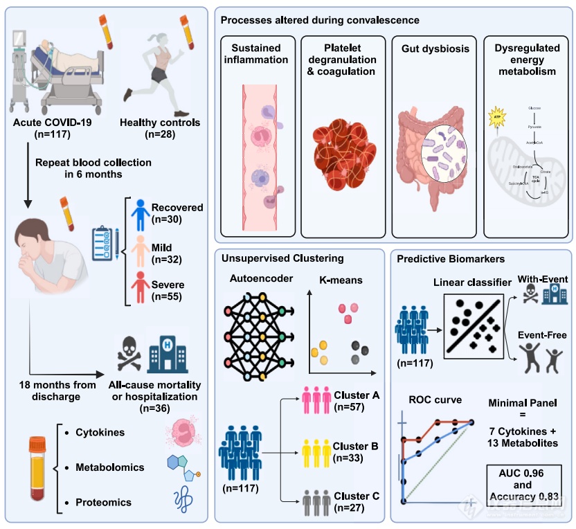 进展|基于质谱的多组学方法发现新冠后遗症生物标志物