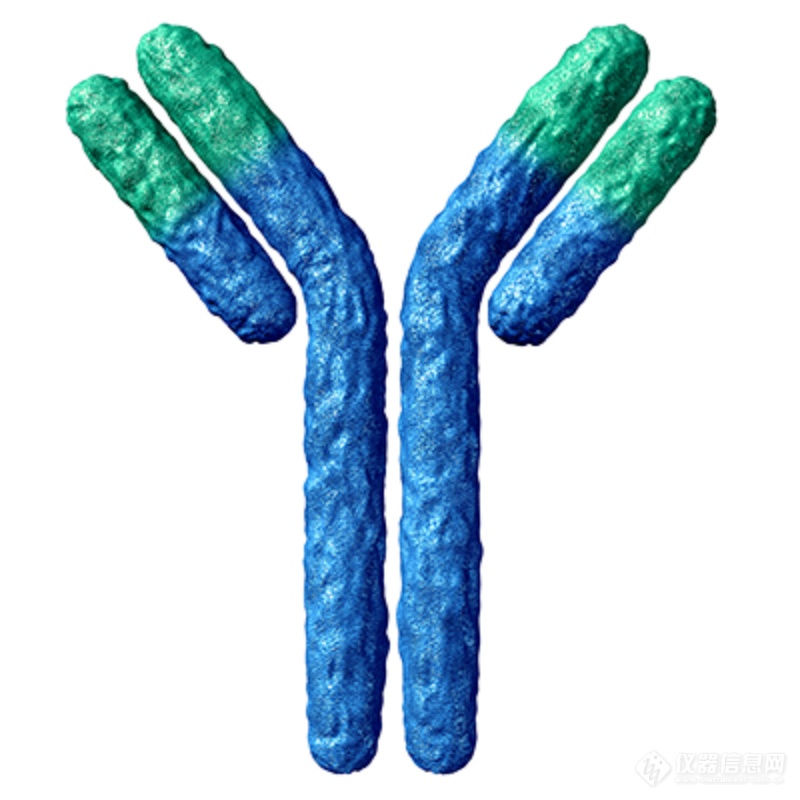 iCIEF技术与高分辨质谱连用分析生物治疗型产品应用最新进展