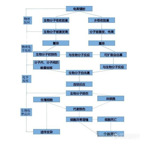 核辐射影响