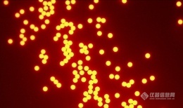 Fluorescent Particles.jpg