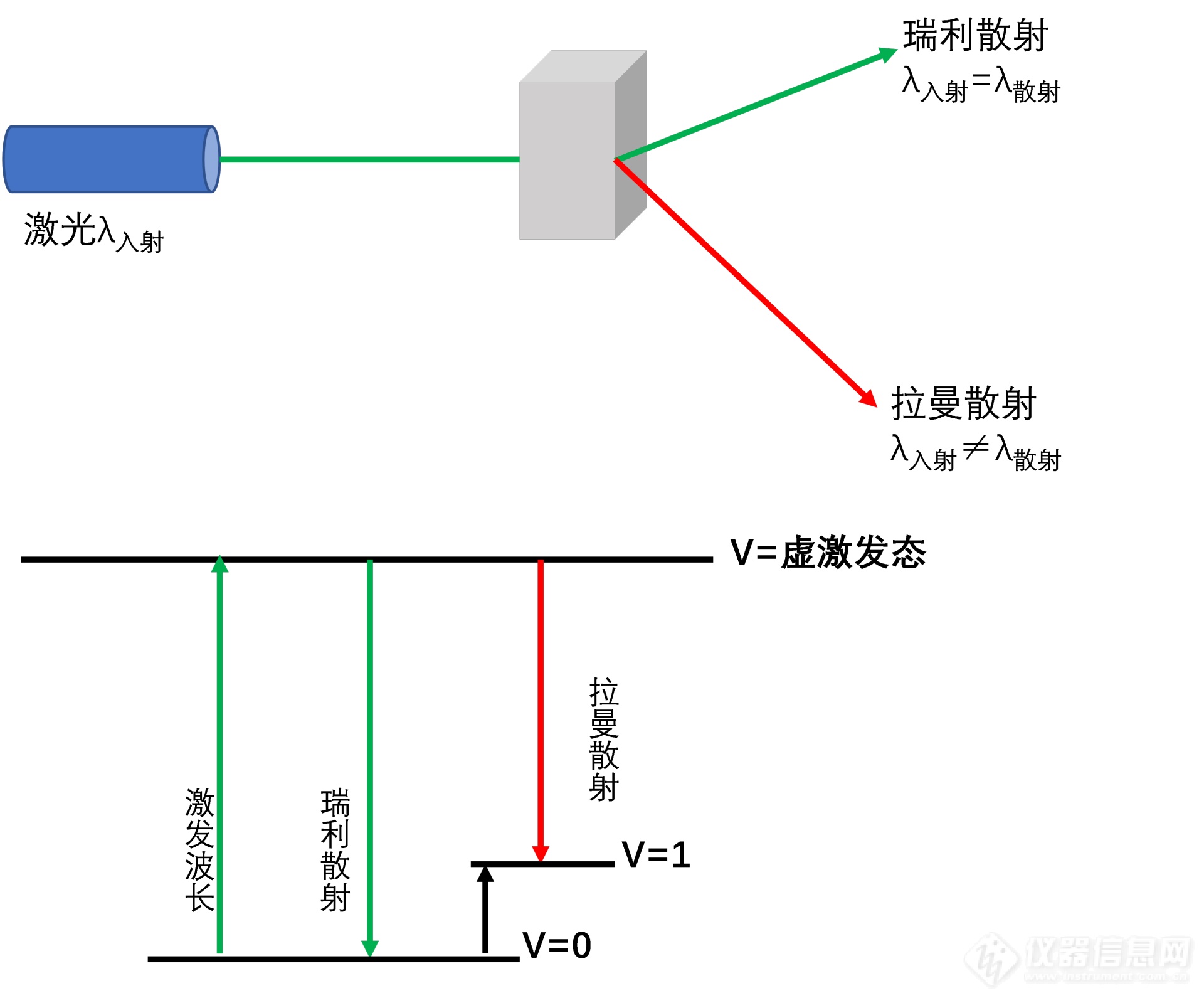 专家约稿|拉曼光谱无损快速检测技术在冷冻肉中的应用