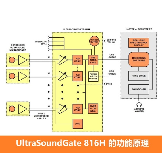 多通道超声声谱分析系统