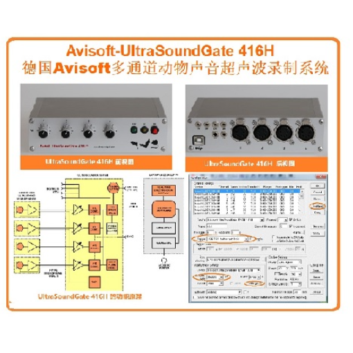 多通道动物声音超声波录制系统