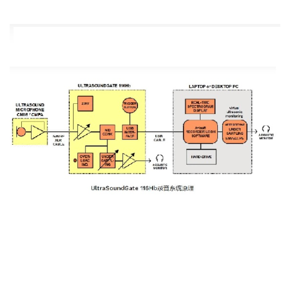 动物超声声音收集系统