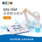 雷磁DZS-706F型多参数水质分析仪