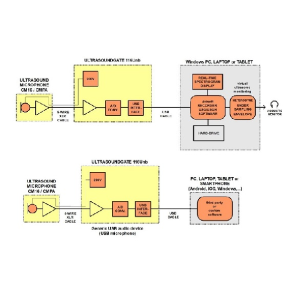 超声波麦克风Avisoft-UltraSoundGate 116Unb