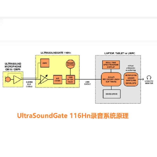 动物声音超声记录系统UltraSoundGate 116Hn