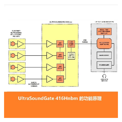 超声波录音麦克风UltraSoundGate 416Hnbm