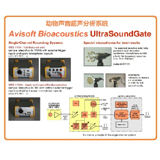 动物超声音频分析仪UltraSoundGate 116Hnbm