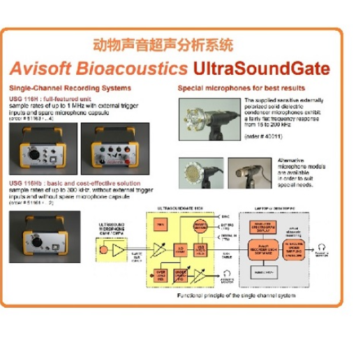 超声麦克风探究生物声学动物鸣声系