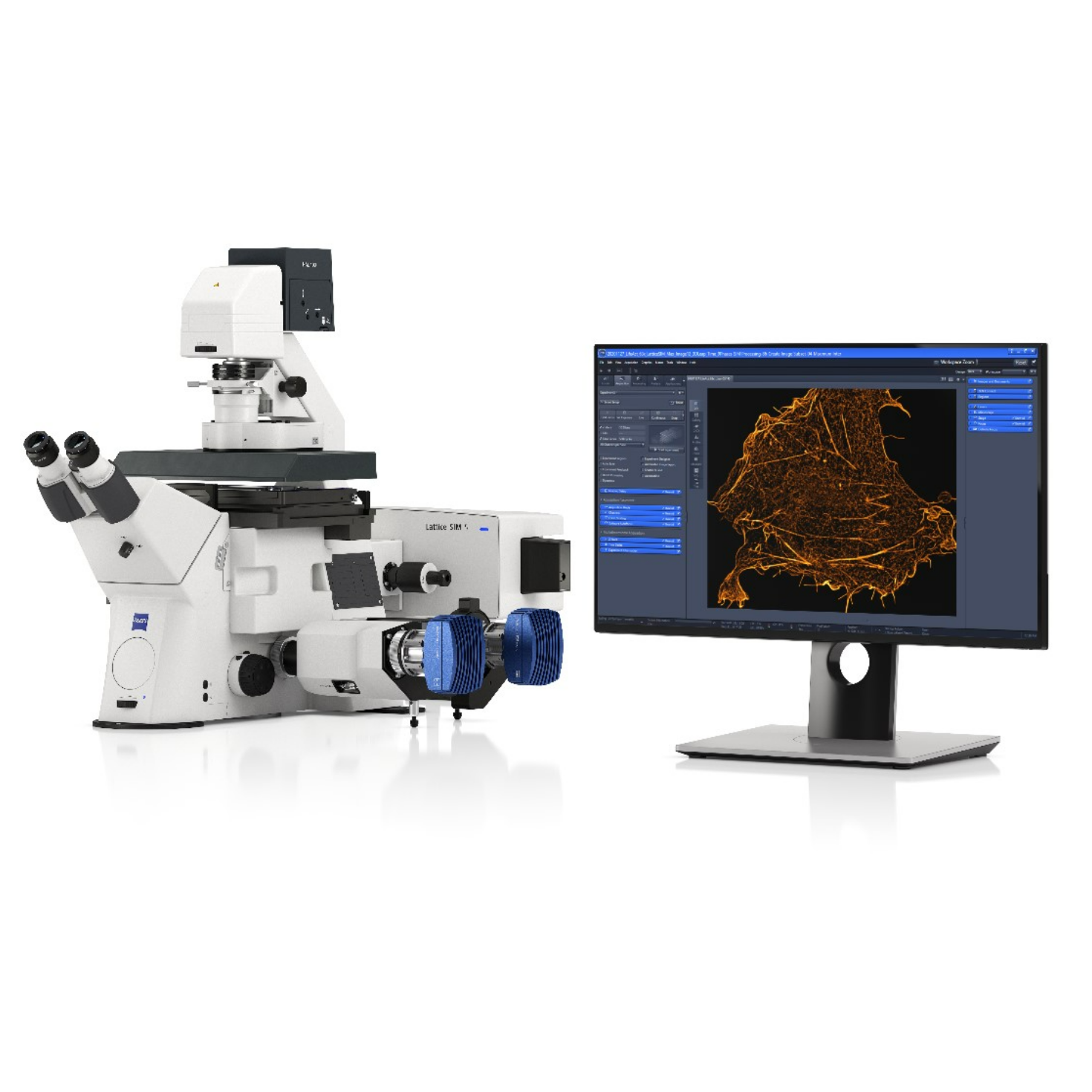 蔡司晶格结构光超高分辨率显微镜Lattice SIM 5