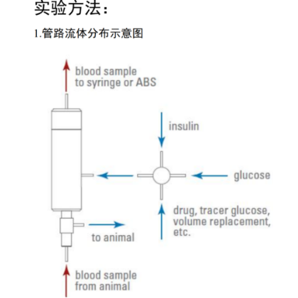 未期 FLS  FLS - AGCS 动物葡萄糖钳夹系统