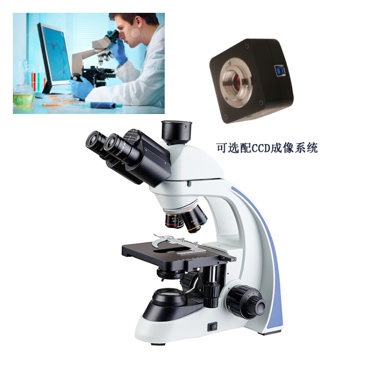 上海缔伦光学科教生物显微镜TL2650B