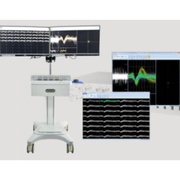 未期 FLS   NeuroKey  在体多通道电生理信号采集系统 