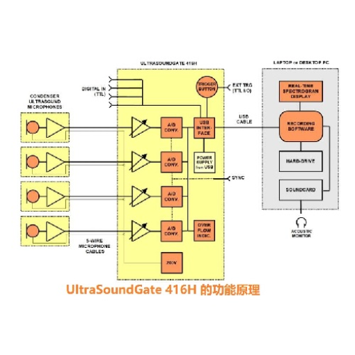 多通道动物声音超声波录制系统