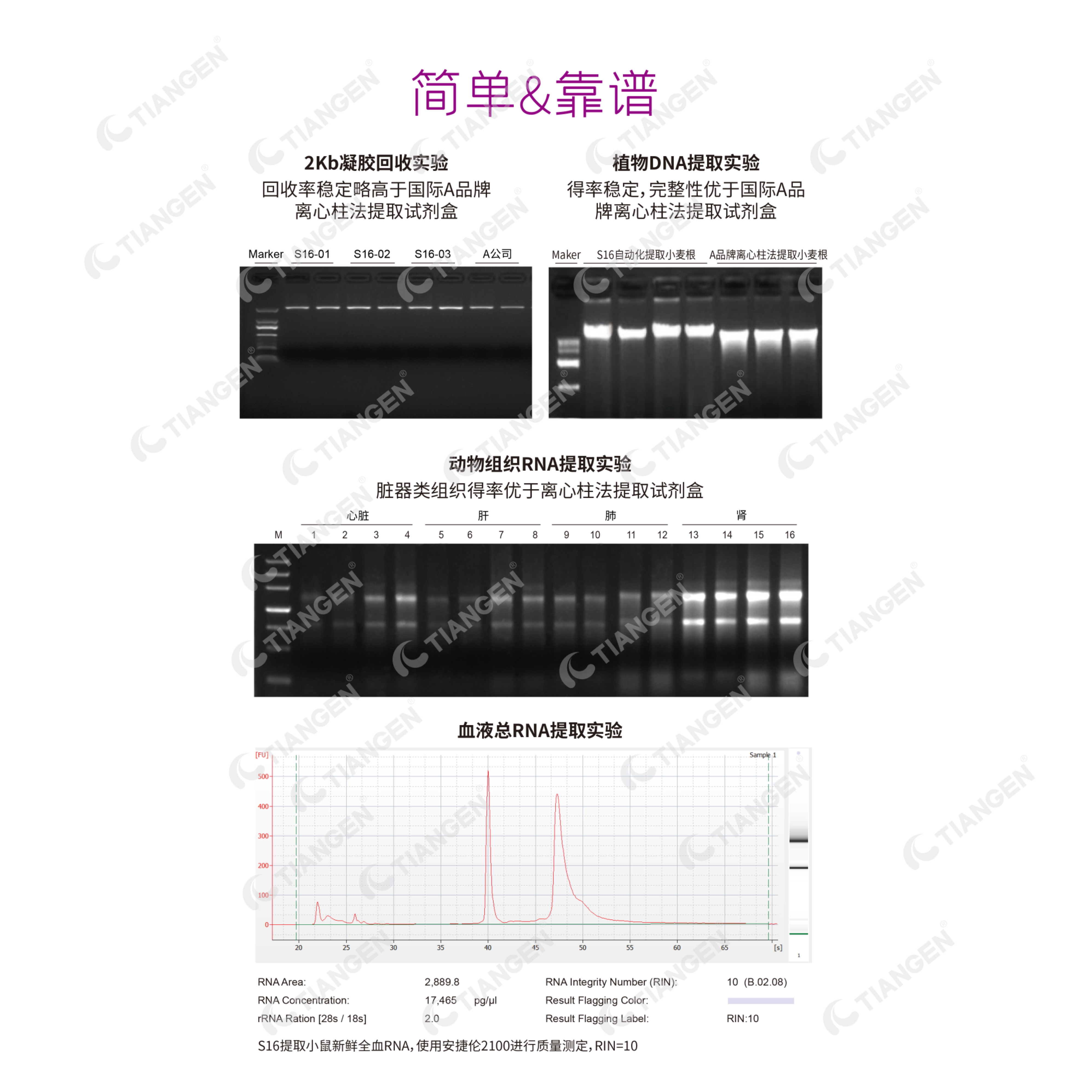 TGuide S16 全自动核酸提取纯化仪