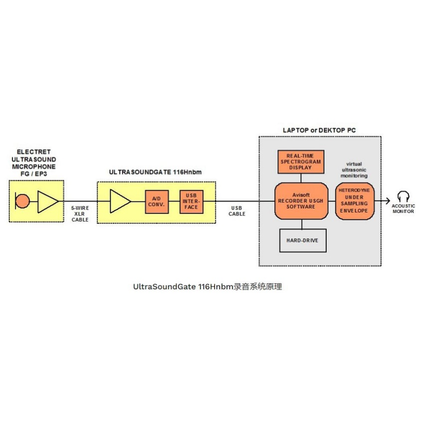 动物超声音频分析仪UltraSoundGate 116Hnbm