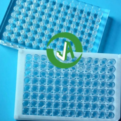 上海晶安石英玻璃96孔板 酶标仪紫外光学检测用96孔石英玻璃酶标板