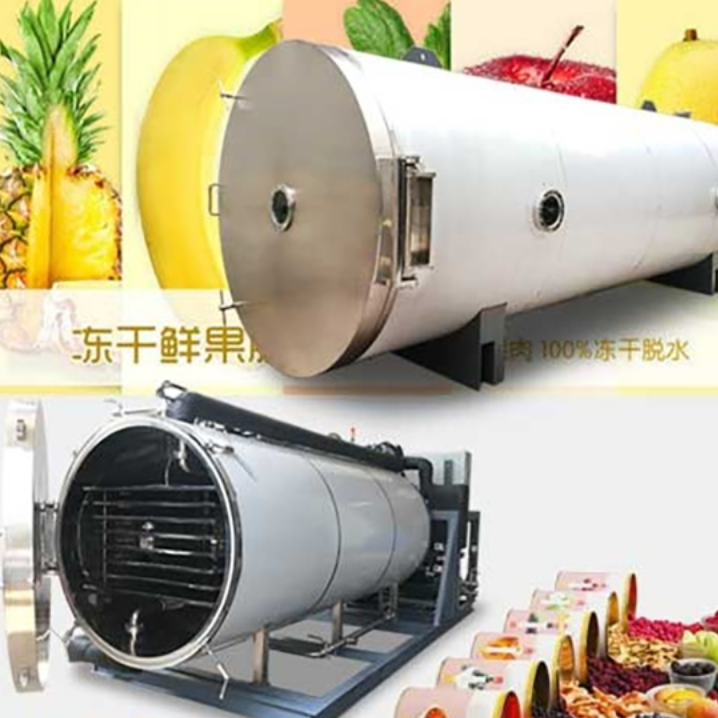 田枫柠檬汁冷冻干燥机、果蔬冻干机TF-FZG-10