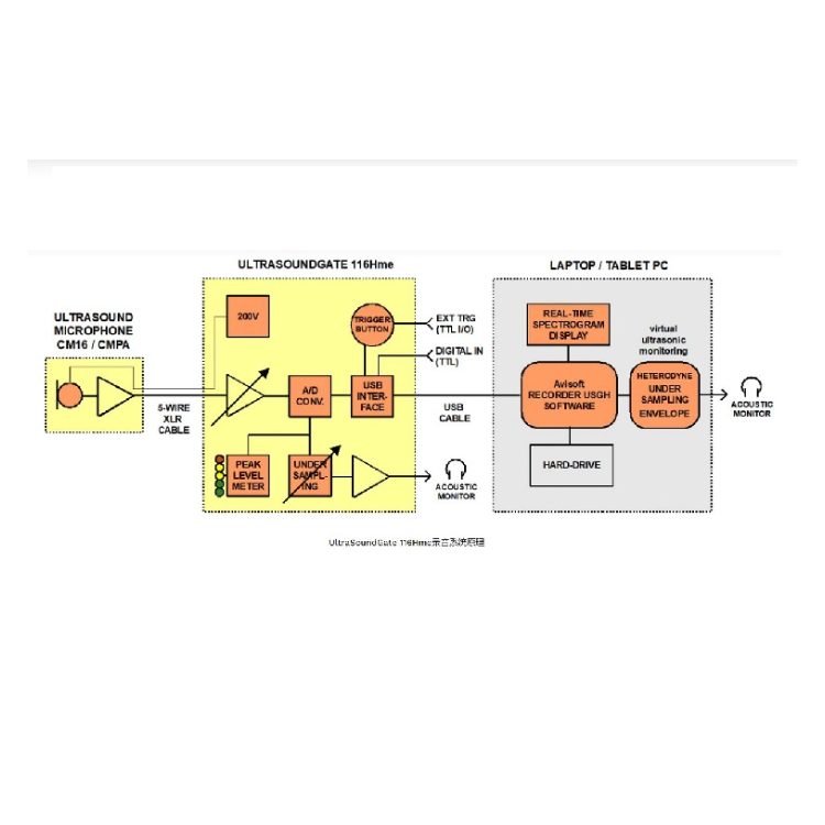 超声声学监测系统UltraSoundGate 116Hme