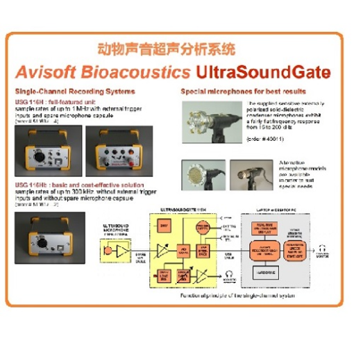 动物声音超声波功率放大器