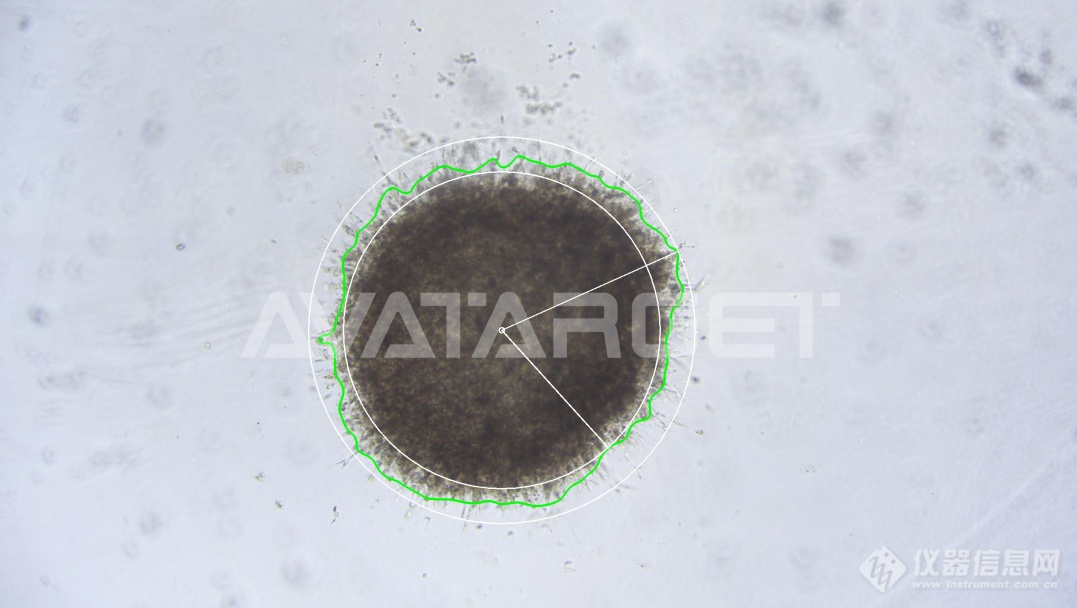 智能成像+AI算法|艾玮得生物发布AvatarInsight高内涵智能成像分析仪新品