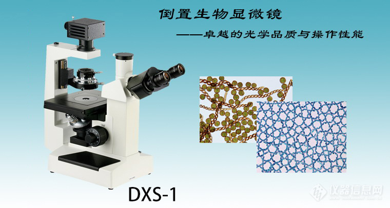 DXS-1主图.jpg